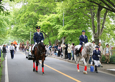 京都府警平安騎馬隊になるには 年収 収入 採用 難易度 倍率 試験 職業ガイド