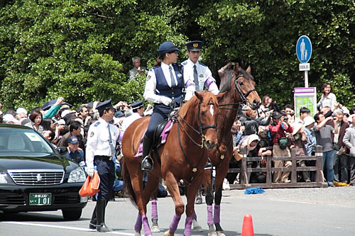 京都府警平安騎馬隊になるには 年収 収入 採用 難易度 倍率 試験 職業ガイド